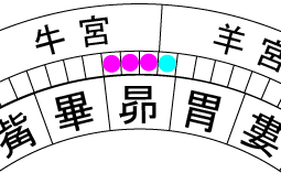 図2：昴宿の足の占星盤